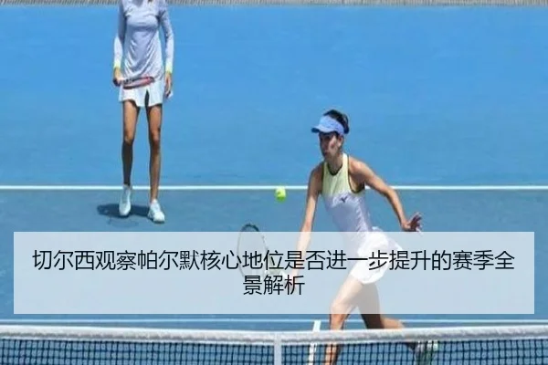 切尔西观察帕尔默核心地位是否进一步提升的赛季全景解析